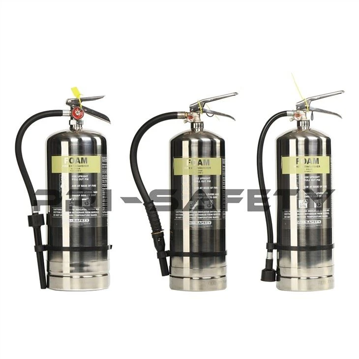 Portable Foam Stainless Steel Fire Extinguisher Nrog SUS 304 Lub tog raj kheej